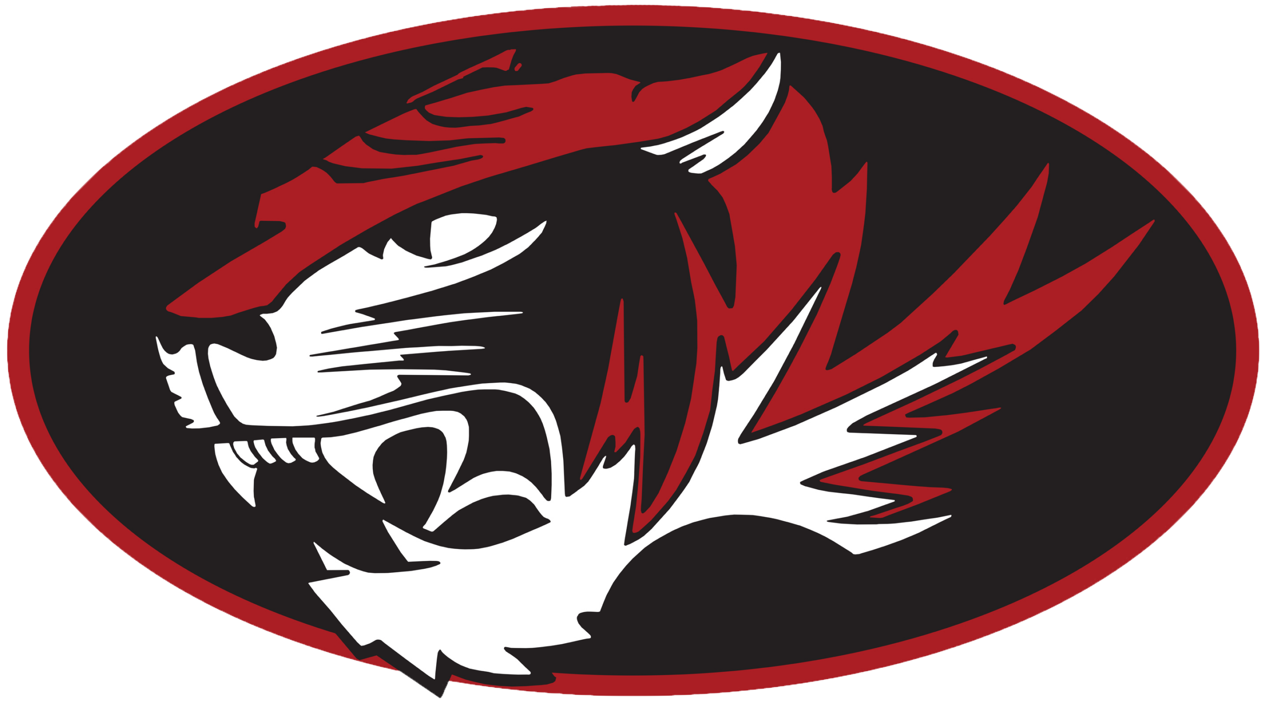 Oval Tiger Head No background